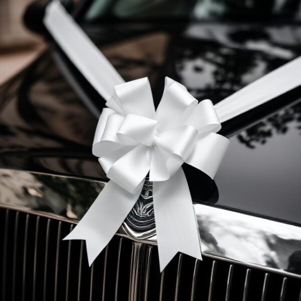 Wedding Car Ribbon and Bows Kit